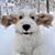 Sandy Maul's profile image