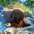 Gail Harding's profile image