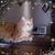 Robyn Thompson's profile image