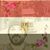 Mostafa Hafez's profile image