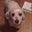 Colbe Galston's profile image