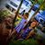 Kristina Lightner- Hart's profile image