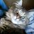 Martha Rowe's profile image