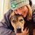 Amanda Patrolia's profile image