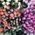 Dawn Baerwald's profile image