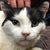 Tracy Kelley's profile image