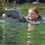 Donna Kronmiller's profile image