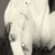 Kris Tomko's profile image