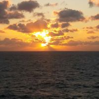 Michelle Scheid Bennett's profile image