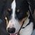 Kevin P. Wrenn's profile image