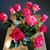 Pamela Reumuth's profile image