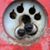 Sherry Swain's profile image