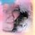 Tiffany Winn's profile image