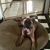 Moretta Mele's profile image
