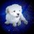 Maria Salazar's profile image
