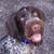 David Swift's profile image