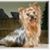 Pamela Morey's profile image