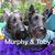 Diana McDearmont Goodreau's profile image
