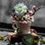 Hellen Thompson's profile image