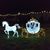 Joyce Carlene Alverson's profile image