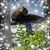 Jannah Marie Carrasco's profile image