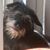 Beth Price's profile image