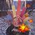 Patti Harris Worthington's profile image