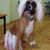James M Cozart's profile image