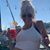 Susan Towns Diffenderfer's profile image