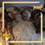 Adam Teper's profile image