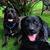 Jacqueline Cunnard's profile image