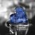 Trina Monteiro's profile image