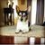 Bobbie Winder's profile image