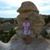 Joyce Whalen's profile image