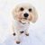 Amanda Lee Smith's profile image