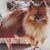 Jessica Roberts Keesee's profile image
