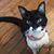 Lynn Drummond's profile image