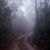 Checo Mendza's profile image