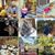 Stacia Loomis's profile image