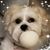 Jackie Cyr's profile image