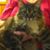 Elaine Wade Brock's profile image