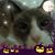 Laurie Lantz's profile image