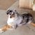 Nicole Micklon Holley's profile image