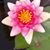 Elaine Zeek-Quirk's profile image