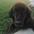Ryan Thueson's profile image