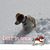 Heather Siegel Coffee's profile image