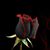 Carolyn Salcedo's profile image