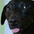 Max Anderson's profile image