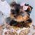 Connie Pederson's profile image