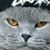 Maria Benally's profile image
